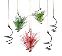 Muorruo Juego de 6 Soportes Colgantes para Plantas de Aire, Soportes para Plantas de Aire con Cuerdas de Yute, Sostenedor de Plantas de Aire sin Tierra, Contenedor de Exhibición de Suculentas