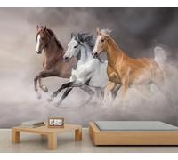 Mural adhesivo dinámico de manada de caballos multicolor - Papel tapiz autoadhesivo al estilo vaquero para pared de enfoque 350x250cm (No es autoadhesivo)