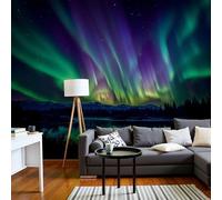 Mural Auroras Boreales Sobre El Desierto Alaska 450 X 315 Cm Murales Decorativos Pared Estilo Fotografía Realista Papel Pintado, Moderno Decoración De Paredes Para Salón Dormitorio Pasillo Comedor