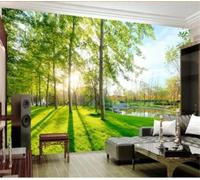 Mural autoadhesivo 3D con vista al lago y al sol en un parque, ideal para sala de estar, pared decorativa o dormitorio.
