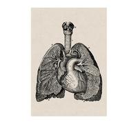 Mural de Hospital, pósteres e impresiones artísticos anatomía humana, decoración oficina, esqueleto, calavera, pintura en lienzo(6,13x18cm No Frame)