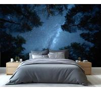Mural de la Vía Láctea en el dosel del bosque: arte mural de cielo estrellado y árboles imponentes para la sala de estar, encantador papel pintado de naturaleza celestial 300x230cm