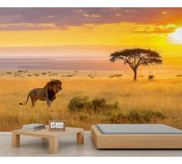 Mural de león de 390 x 260 cm, papel tapiz de sabana africana, papel pintado de animales salvajes para sala de estar, decoración de pared de león (no se pela y pega)