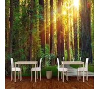 Mural de paisaje forestal bajo la luz del sol en 3D papel pintado para salón pared de fondo y dormitorio; tapices artísticos decorativos
