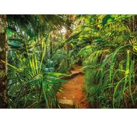 Mural De Papel Tapiz Botánico Verde Selva Foto Para Niños