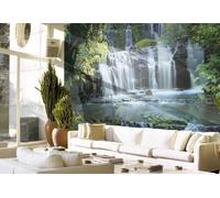 Mural De Papel Tapiz Botánico Verde Selva Foto Para Niños