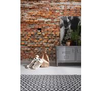 Mural De Papel Tapiz Botánico Verde Selva Foto Para Niños Arte De Pared