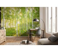 Mural De Papel Tapiz Botánico Verde Selva Foto Para Niños Arte De Pared