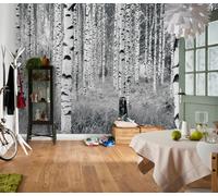 Mural De Papel Tapiz Botánico Verde Selva Foto Para Niños Arte De Pared