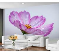 Mural de pared con flor de cosmos morada y gotas de rocío, papel pintado floral en primer plano para dormitorio, decoración de pared con arte natural fresco 250x195cm (No es autoadhesivo)