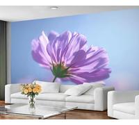 Mural de pared con flores de cosmos morados, papel pintado floral en primer plano para dormitorio, decoración de pared con fondo de cielo azul sereno 280x200cm (No es autoadhesivo)