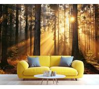 Mural de pared con sendero iluminado por el sol y rayos dorados: decoración encantadora de paisaje natural para sala de estar, dormitorio, papel pintado mágico de bosque 280x200cm