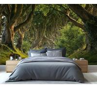 Mural de pared Dark Hedges Tree Tunnel Road: encantadora decoración de paisaje de Irlanda del Norte para sala de estar, dormitorio, mágico papel pintado de sendero arbolado 300x210cm