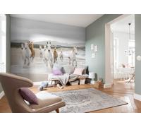 Mural De Pared De Caballos Salvajes Gigante 368x254cm Para Niños Y Adultos