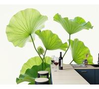 Mural De Pared Decor 350x256cm - Art Papel Tapiz Fotográfico Hojas De Loto Cápsulas De Loto Papel Pintado Estilo Fresco Y Natural Pared Sala Cuarto Póster Verde Mural Para Sala Estar Dormitorio