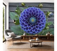 Mural de Pared Panorámico Dalia, 350x250cm Papel Pintado de Fotografía Flores Realistas Papel Tapiz Fotomural 3D Decoración para Salón Dormitorio Oficina y Tv Pared, Azul Zafiro
