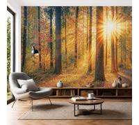Mural De Pared Panorámico Sol Bosque Otoñal 350x256cm Papel Pintado Paisajes Otoñales Sanadores Decoración Pared Dorado Moderna Salón Dormitorio Habitación