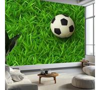 Mural de pared panorámico verde personalizado, papel tapiz deportivo de fútbol con césped, 500 x 280 cm (ancho x alto), moderno mural de pared panorámico a gran escala para sala de estar, dormitorio