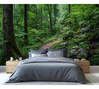 Mural de pared Sendero en un Bosque Frondoso - Sendero sereno en un bosque verde, perfecto para la decoración natural de dormitorios y salas de estar 350x250cm (No es autoadhesivo)