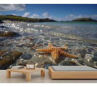 Mural de piscina de marea costera con escena de playa de guijarros y estrellas de mar, perfecto para baños y salas de estar. 300x210cm (No es autoadhesivo)