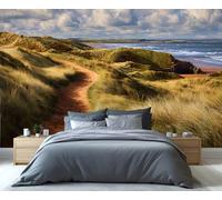 Mural de sendero de dunas costeras - Arte mural con vista a la playa y al océano para sala de estar, papel tapiz de paisaje costero tranquilo 300x230cm (No es autoadhesivo)