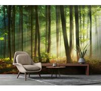 Mural Fotográfico de Pared Bosque Consalnet Verde 312x219 cm Vlies