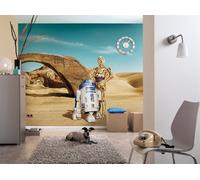 Mural Fotográfico Star Wars Droids Gigante Amarillo 144x100 Pulgadas