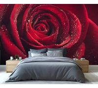 Mural gigante de rosas rojas con gotas de rocío, papel pintado floral romántico para dormitorio, elegante decoración de pared para el hogar. 100x100cm (No es autoadhesivo)
