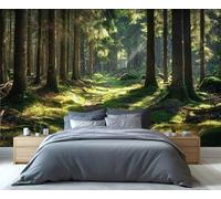 Mural Sendero del Bosque Encantado - Arte de pared con bosque iluminado por el sol y sendero musgoso para sala de estar, papel tapiz de paisaje natural mágico 280x200cm (No es autoadhesivo)