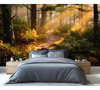 Mural Sendero Iluminado por el Sol en el Bosque - Rayos Dorados y Vegetación Exuberante - Arte Mural para Sala de Estar, Papel Tapiz de Santuario de Bosque Encantador 250x195cm (No es autoadhesivo)