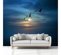 Murales 3D Fotografía Cielo Nocturno Gaviota 350 x 256 cm Fotomurale Papel Pintado no Tejido, Papel Tapiz Fotográfico, Mural de Decoración de Pared para Salon, Dormitorio, Oficina