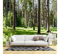 Murales de pared de tamaño personalizado, abanicos de rosetas de papel coloridas, tela de pared autoadhesiva (sin PVC), papel tapiz fotográfico grande extraíble para sala de estar, dormitorio, oficina