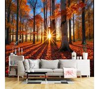 Murales de pared de tamaño personalizado, paisaje de bosque otoñal, rayos de sol, sombras largas, hojas coloridas, tela de pared autoadhesiva (sin PVC), papel tapiz grande extraíble para sala de estar