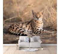 Murales De Pared Jaguar, Gran Felino, Fotomural Ventana Carrera De Gatos De África 300X210cm Decoración De Pared Moderna Alternativa A La Pintura Cabecero De Cama Solo Aplicar