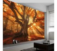 Murales de Pared Paisaje Naturaleza Árbol Viejo Sol Papel Tapiz, Naranja Cartel de la Foto Murales de Pared Decorativos para Sala de Estar y Dormitorio (220gsm Tela No Tejida, 300 x 210 cm (W x H))