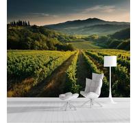 Murales de Pared Viñedo Papel Tapiz Campos Italianos Papel Pintado de Seda Verde Fotomural Murales de Decorativos para Dormitorio, Salón, Oficina, Hotel 350x250cm