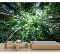 Murales densos de bosque verde, papel tapiz alto con dosel de árbol que se eleva desde el suelo del bosque, papel tapiz para paredes, filtrado de luz solar, paisaje natural, dormitorio de niños, sala