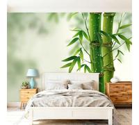 Murales Papel pintado fotográfico, 250 x 175 cm Grande Papel pintado No Tejido Con Gris Verdoso Patrón - Sencillez Plantas Hojas De Bambú Agua Póster Efecto 3D Murales Decoración Para Dormitorio Salón