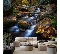 Murales Papel Pintado Salon Hojas de otoño rocas 300x210 cm Fotomurales 3D Tejido No Tejido Papel Tapiz Fotográfico Decorativos Murales Dormitorio Oficina Hotel