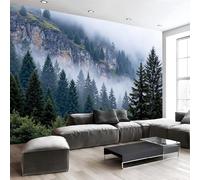 Murales Papel Pintado Salon Tranquilidad Naturaleza, Bosque Siempre Verde 450Anx315Al cm Fotomurales 3D No Tejido Papel Tapiz Fotográfico Decorativos Murales Dormitorio Oficina Hotel