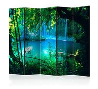 murando Biombo 225x172 cm de Impresion Bilateral en el Lienzo de TNT Decoracion Foto Biombo de Madera con Imagen Impresa Separador Grande Home Office c-B-0132-z-c