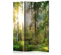 murando Biombo Acústico Bosque 135x172 cm Impresion Bilateral en el Lienzo de TNT con Espuma acústica Separador de Espacio Pared Espanol Panel Home Office c-C-0032-z-b