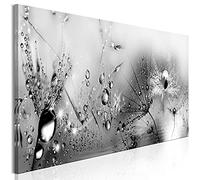 murando - Cuadro de cristal acrílico Diente de leon 120x40 cm Impresión de 1 Pieza Pintura sobre Vidrio Imagen Gráfica Decoracion de Pared Flores Naturaleza Gris Diente de leon a-A-0474-k-a