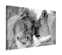 murando - Cuadro en Lienzo Leon 90x60 cm 1 pieza - Impresión en material tejido no tejido cuadros decoracion salon modernos lienzos decorativos dormitorios - Leon Animales Africa g-B-0034-b-b