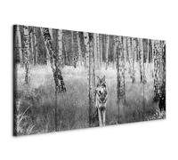 murando Cuadro en Lienzo Lobo 100x40 cm 5 partes Impresión en Material Tejido no Tejido Impresión Artística Imagen Gráfica Decoracion de Pared Animales Bosque Paisaje Arbol Naturaleza g-C-0307-b-m