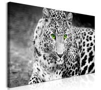 murando Cuadro Mega XXXL Leopardo 170x85 cm Cuadro en Lienzo en Tamano XXL Estampado Grande Gigante Imagen Para Montar por uno Mismo Decoración De Pared Impresión DIY Animales g-A-0086-ak-h