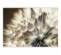 murando Fotomurales 400x280 cm XXL Papel pintado tejido no tejido Decoración de Pared decorativos Murales moderna de Diseno Fotográfico Flores Diente De Leon b-B-0087-a-c