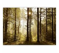 murando Fotomurales autoadhesivo Bosque 343x256 cm Papel Pintado Decoración de Pared Murales Pegatina decorativos adhesivos 3d moderna de Diseno Fotográfico Naturaleza Arquitectura c-B-0254-a-a