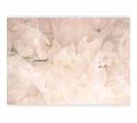 murando Fotomurales Flores 300x210 cm XXL Papel pintado tejido no tejido coración Pared corativos Murales morna Diseno Fotográfico Naturaleza Botánico Motivo Floral b-A-10325-a-b