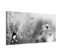 murando Handart Cuadro en Lienzo Diente de leon 135x45 cm 1 pieza Cuadros Decoracion Salon Modernos Dormitorio Impresión Pintura Moderna Arte Flores Naturaleza a-A-0474-b-a